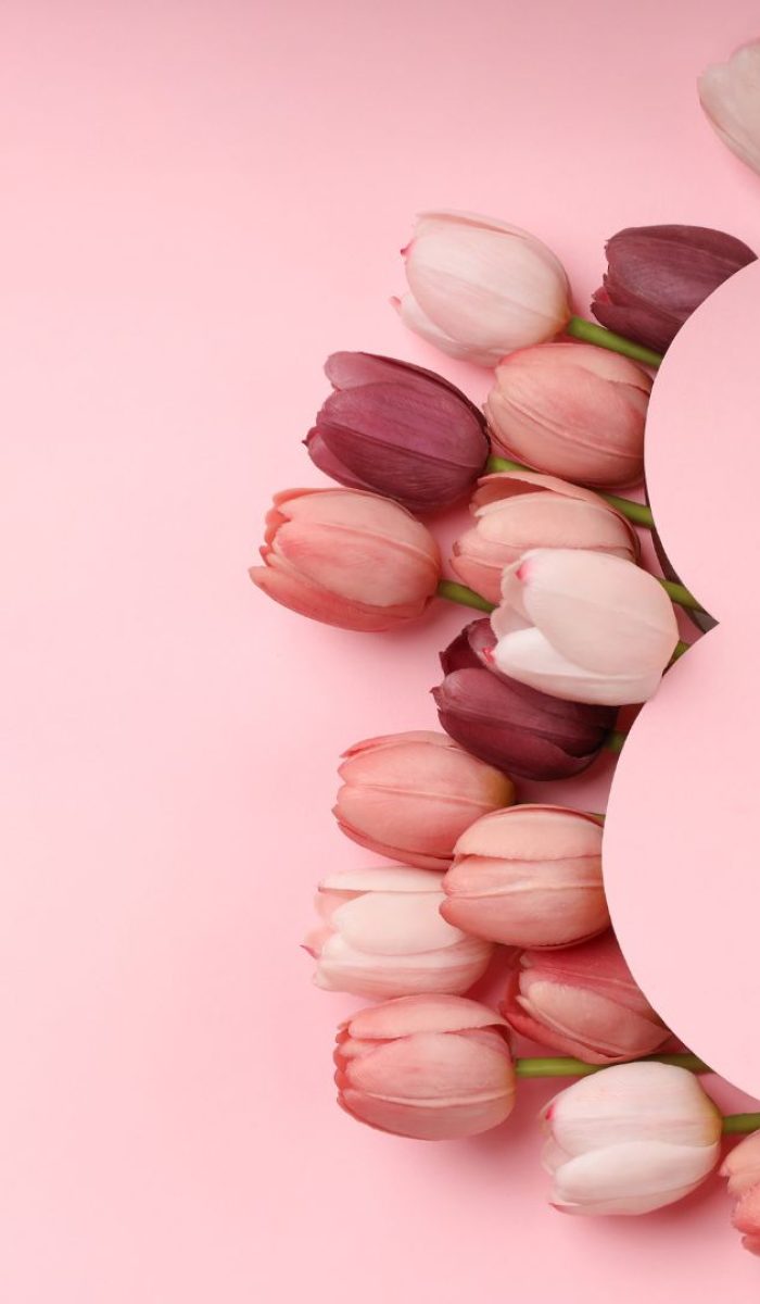 Bouquet of pink, white, and burgundy tulips arranged on a soft pink background with a blank circular shape on the right.